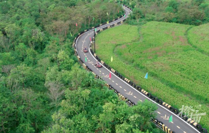 “五一”就在眼前，桂花村有点小焦虑：会有人来玩不？村里能火起来不？