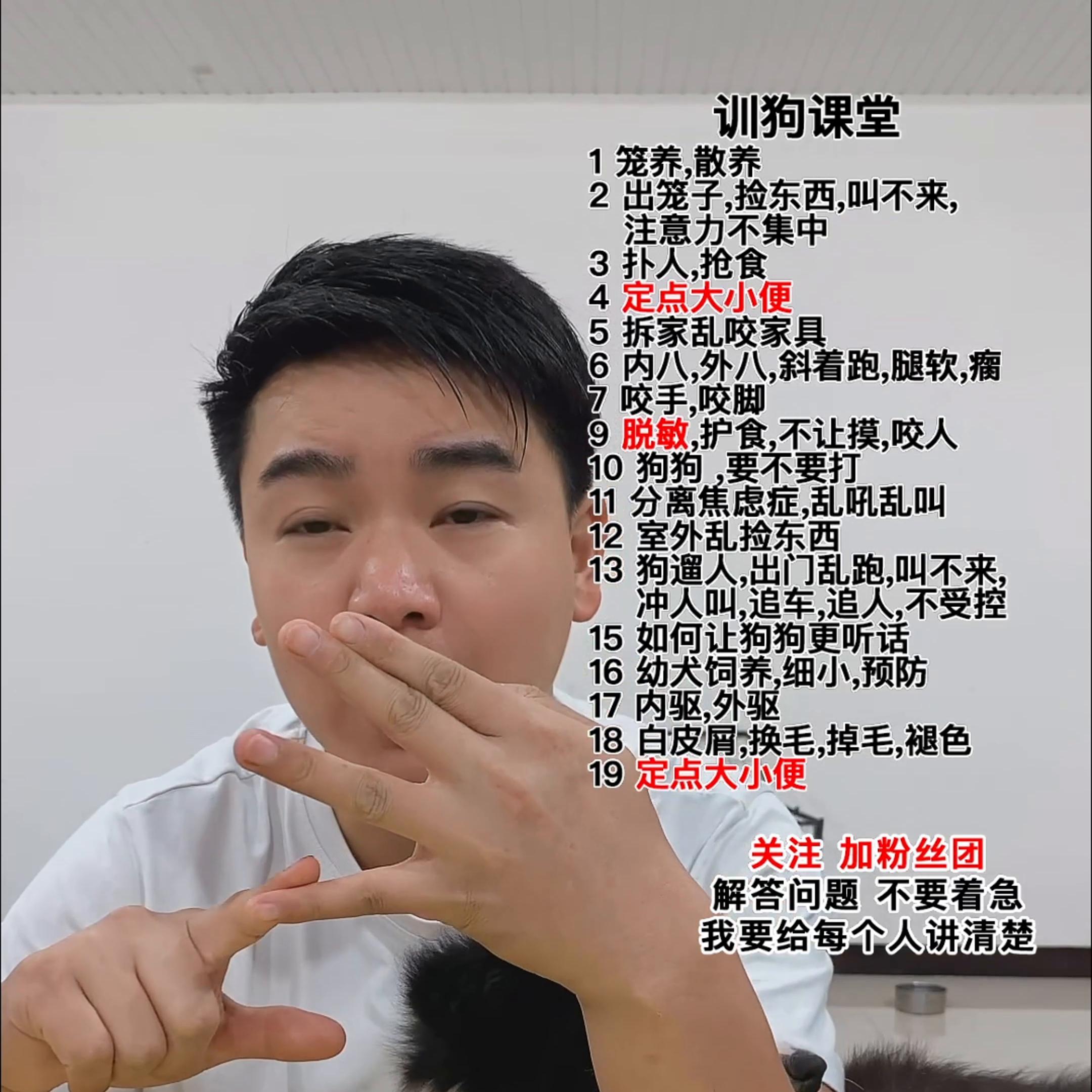 如何改正狗狗咬手磨牙,狗狗磨牙棒能避免咬人吗