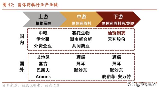 仙琚制药高端制剂国际化建设项目,仙琚制药甾体激素