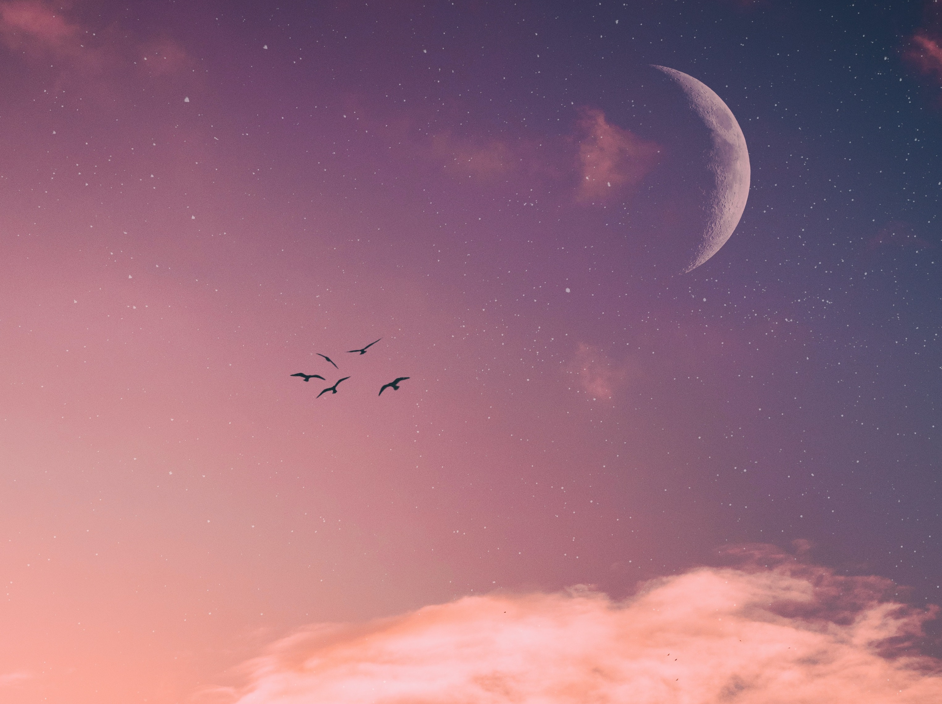 我喜欢你高级的表达方式英语,我喜欢你的委婉表达视频