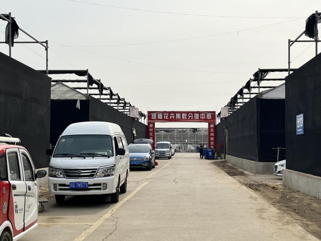 经营面积再增加1万平方米！北京唯一一家绿植花卉分拨中心又有新动作