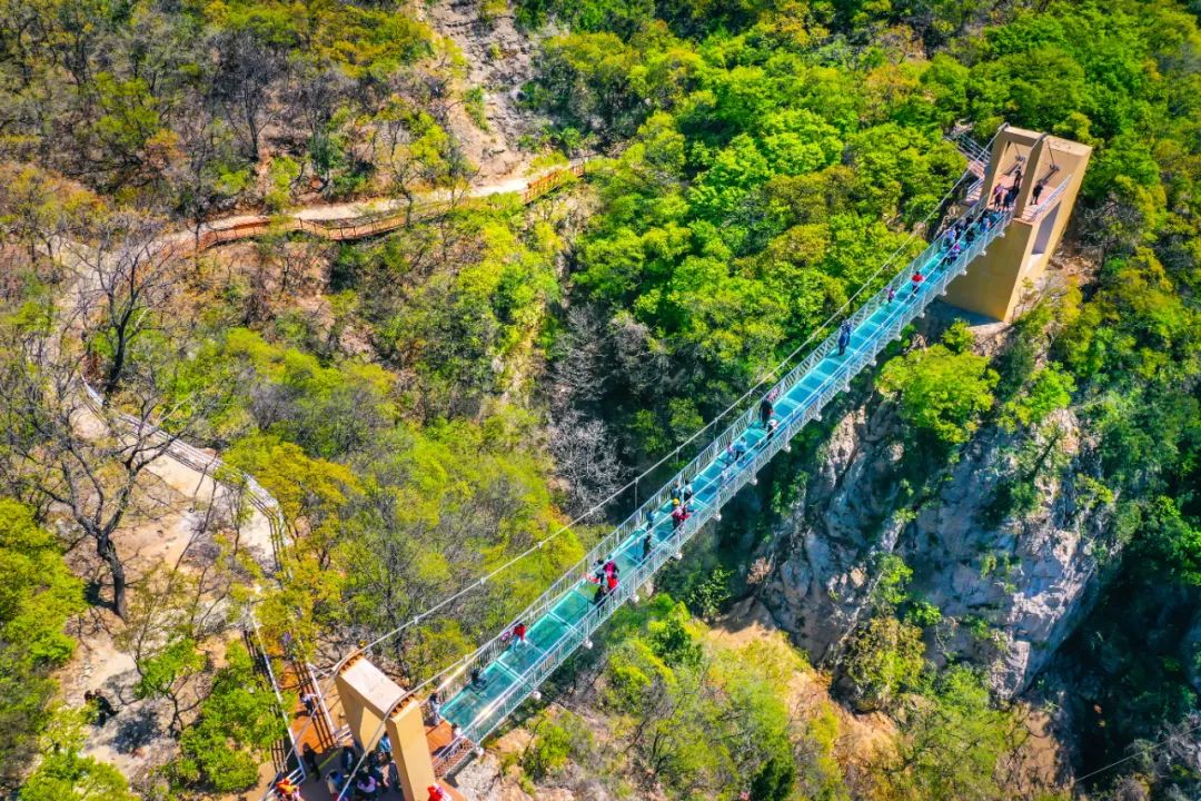 身份证号3703开头是哪里,身份证3703开头是哪里