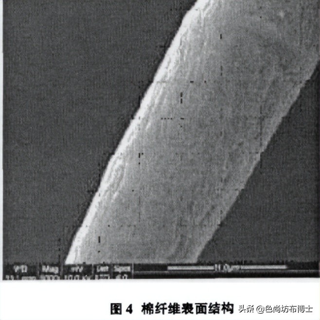 聚酯纤维和棉性能对比,仿制棉与聚酯纤维