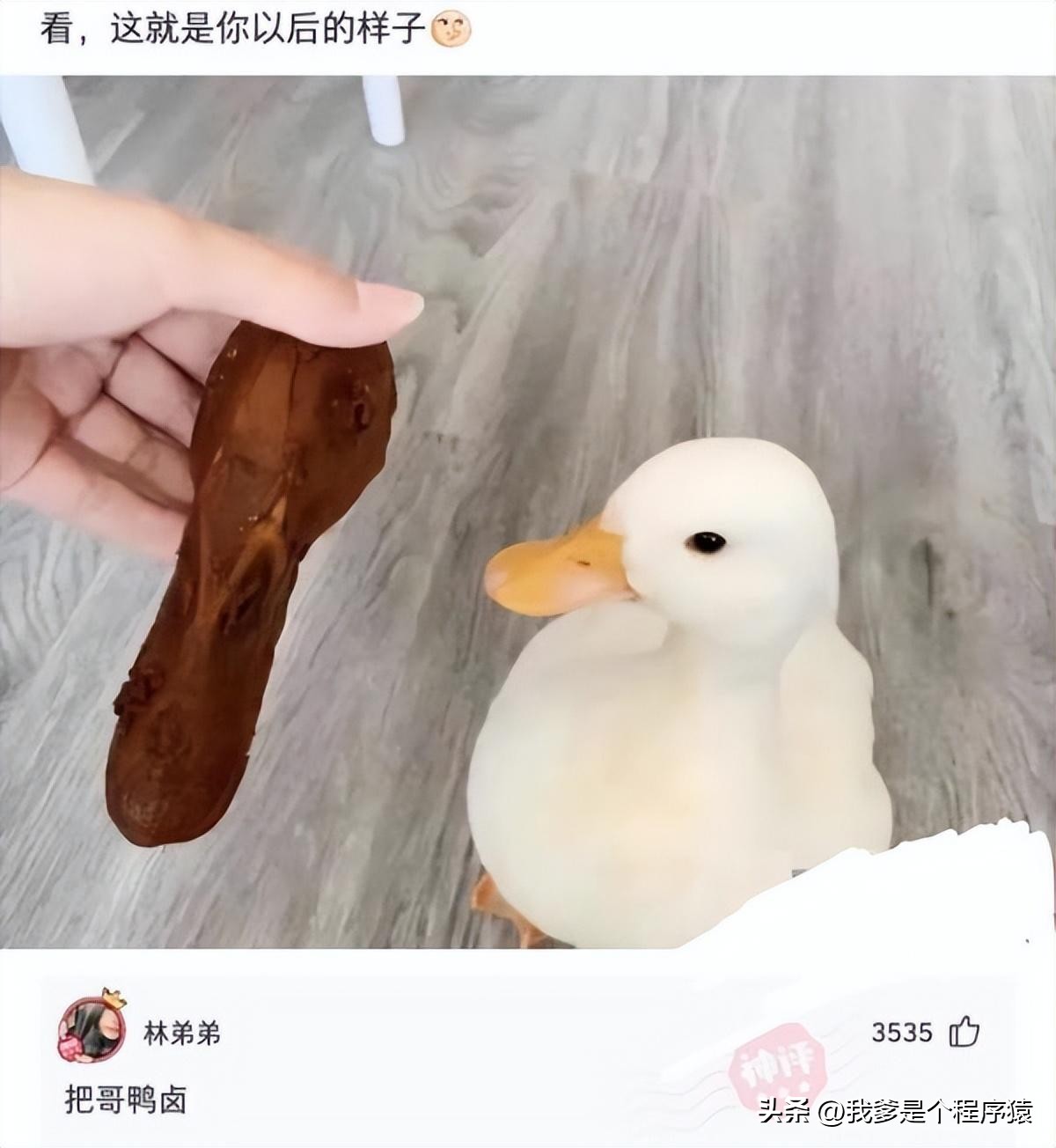 被稀有姓氏毁掉的段子,优选段子大全搞笑