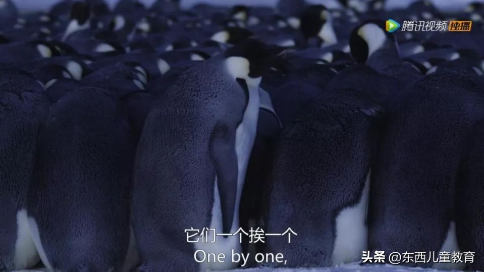 法布尔昆虫记立体书适合3-6岁儿童,法布尔昆虫记青少版必读