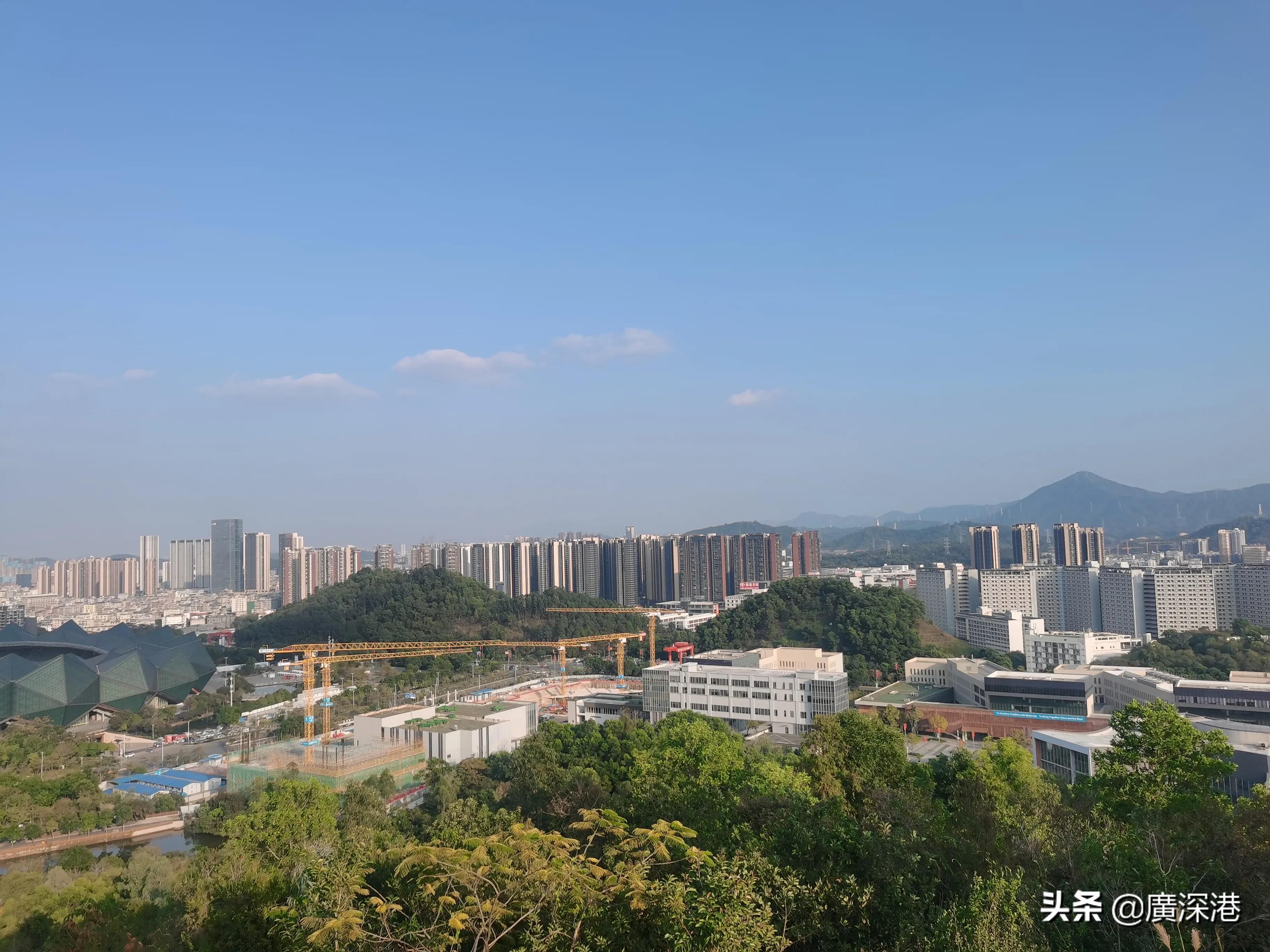 深圳布吉沙湾十年前的样子,深圳四十年的蜕变图片