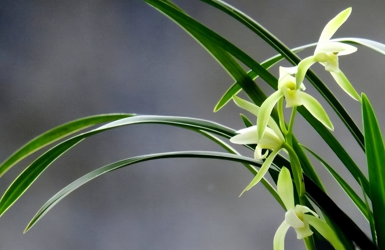 2023年努力赚钱,2023年努力赚钱然后好好照顾自己