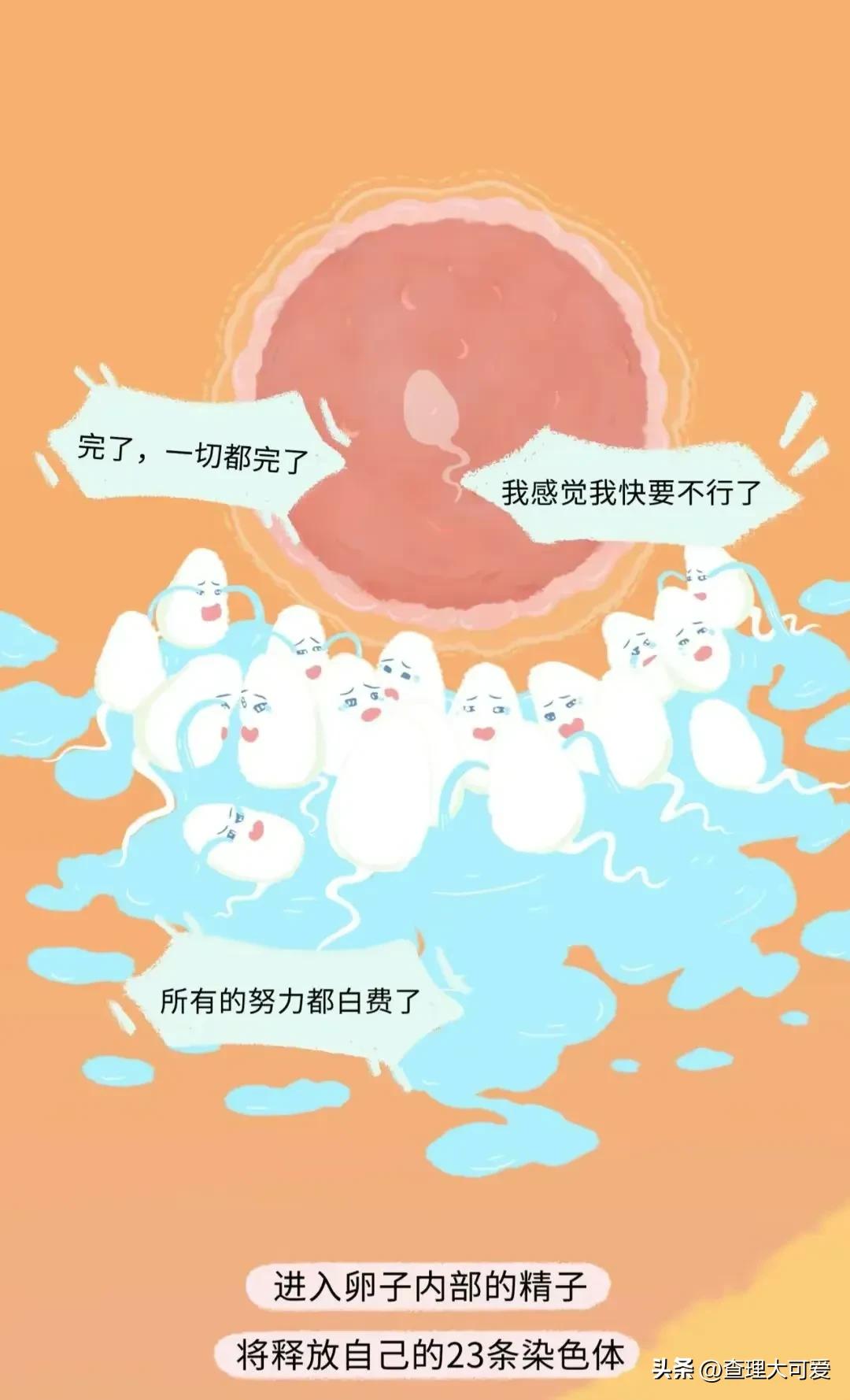 小蝌蚪找妈妈故事完整漫画,小蝌蚪漫画