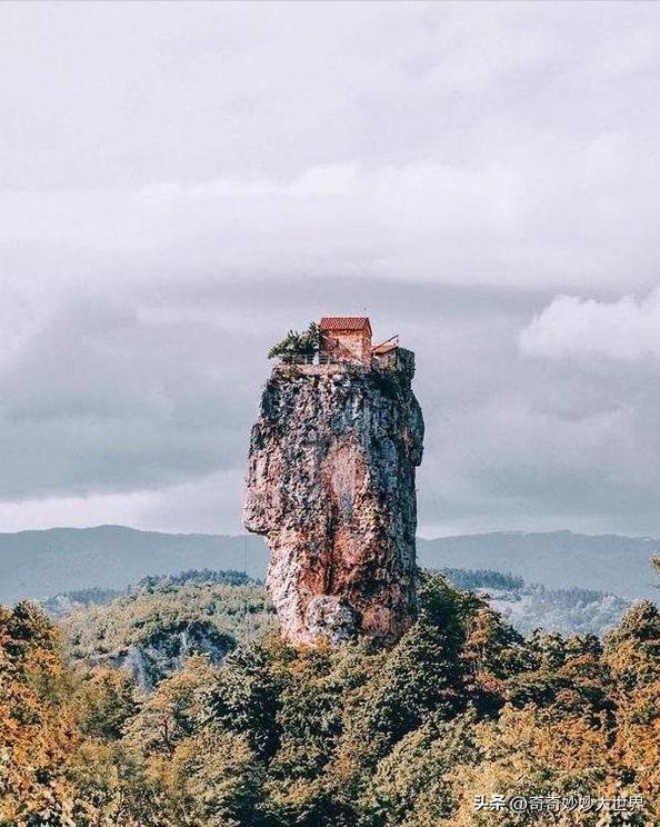 28张图看世界，欧洲贵妇的小便神器，在挪威“当官”的企鹅