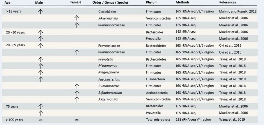 肠道菌群、性激素与疾病：探索它们的交互作用