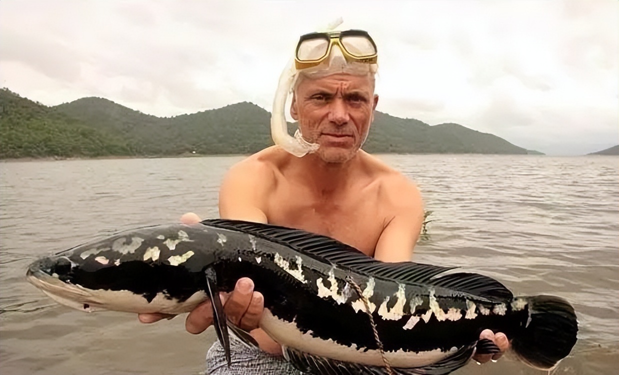 小到钻丁丁，大到吞活人，这片贝爷看了都怕