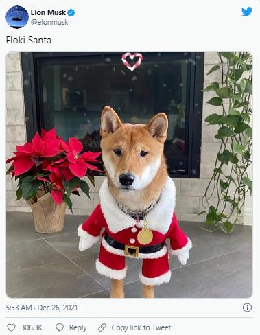 马斯克的推特推荐的加密货币,马斯克寻找新的加密货币