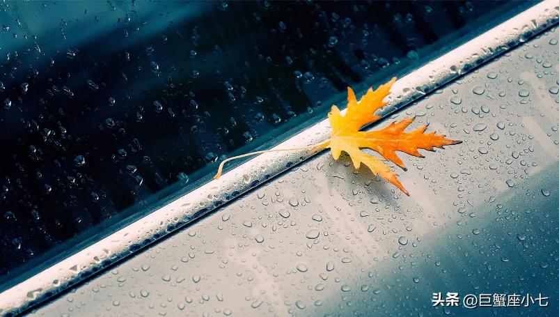 狮子座斗不过摩羯座,狮子座斗不过天秤座