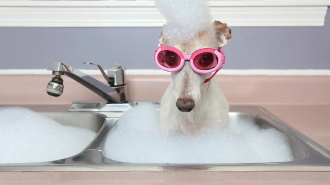 游完泳眼睛红用什么眼药水,游完泳眼睛感染