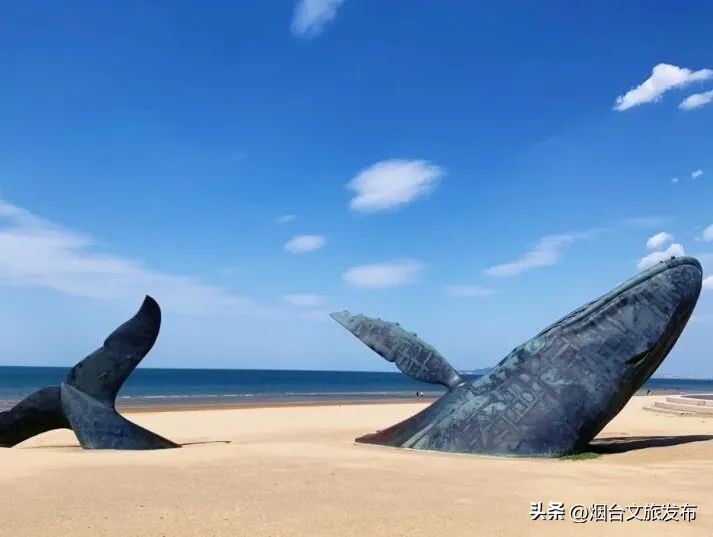 金沙滩攻略从早到晚,金沙滩必打卡