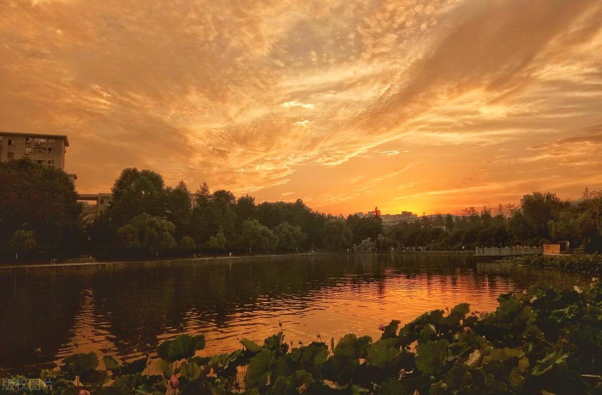 985最新排名重庆师范大学,浙师大数学系全国排名