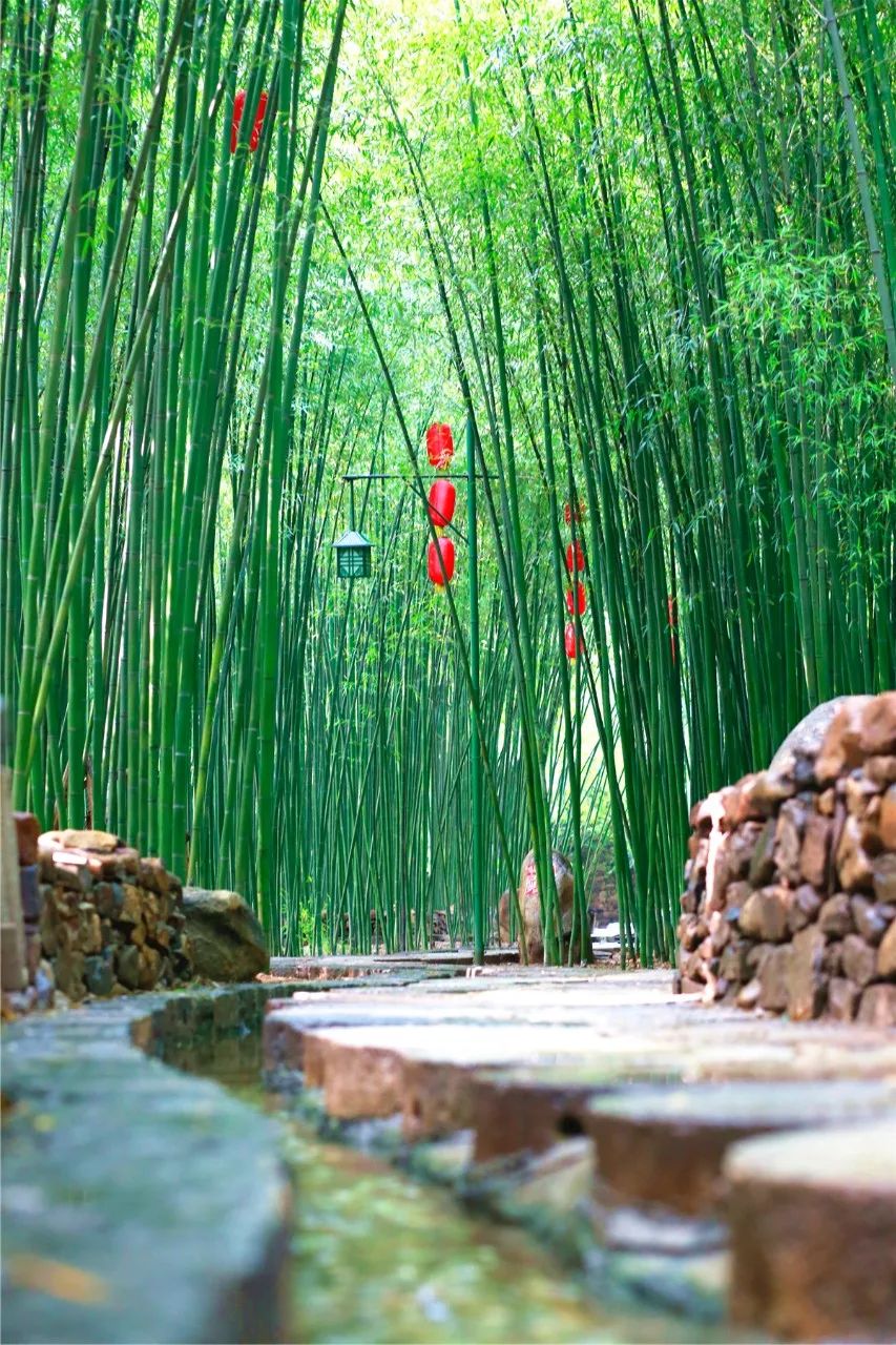 2023县域旅游百强榜各省份排名,2021县域旅游100强排行榜