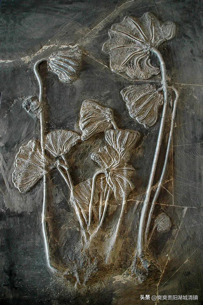 如何全方位读懂中国历史,如何看懂中国的历史