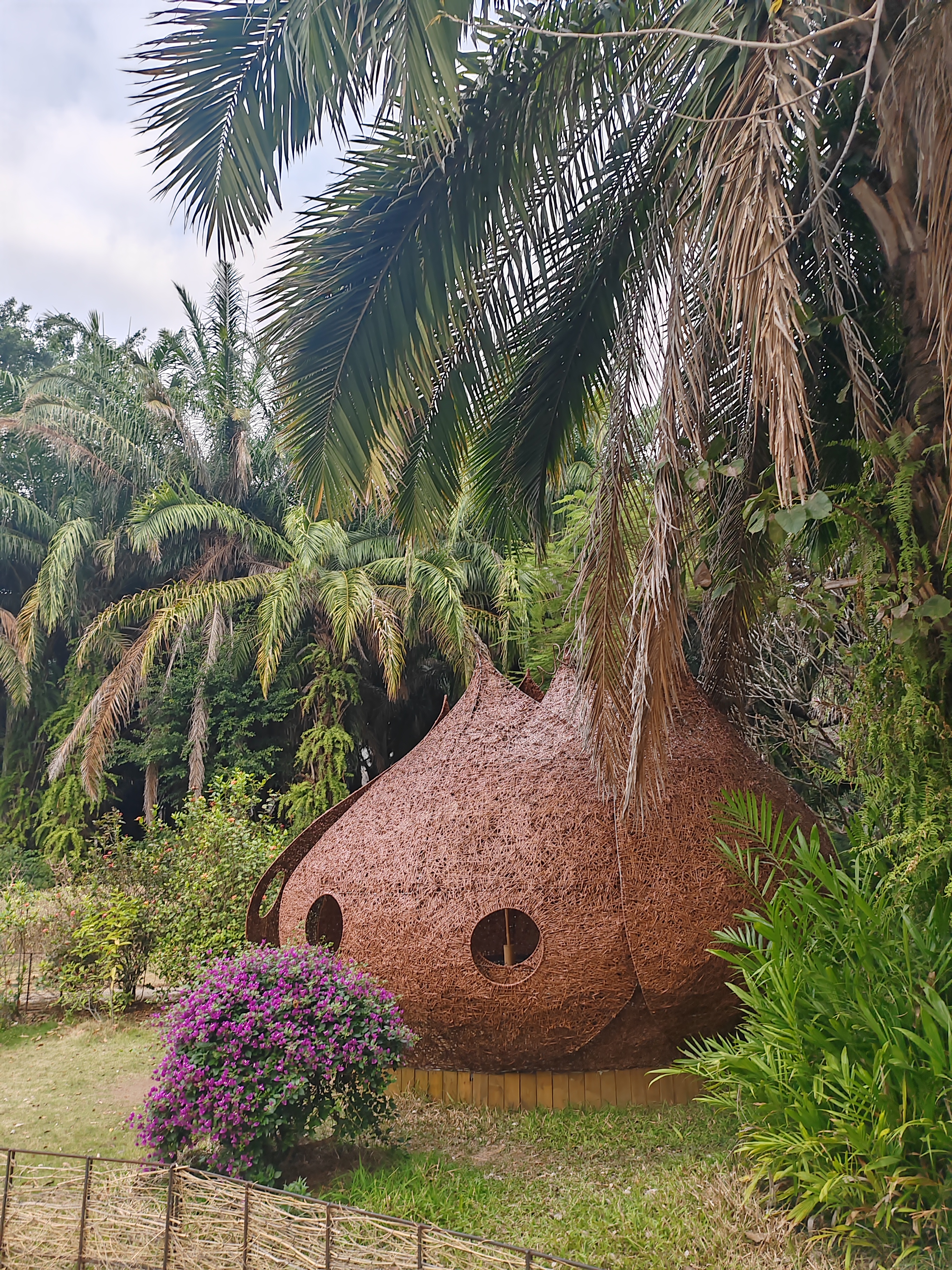 西双版纳曼听园攻略,云南西双版纳打卡曼听公园