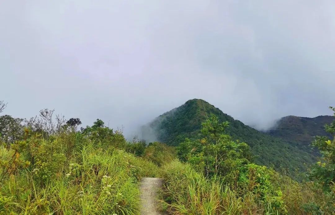 广州从化第一峰天堂顶,广州第一峰从化