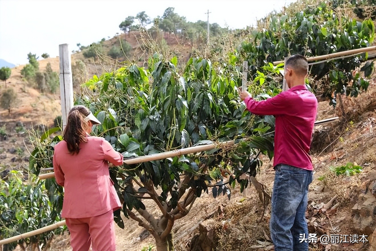 调查赚钱,调查问卷赚钱项目