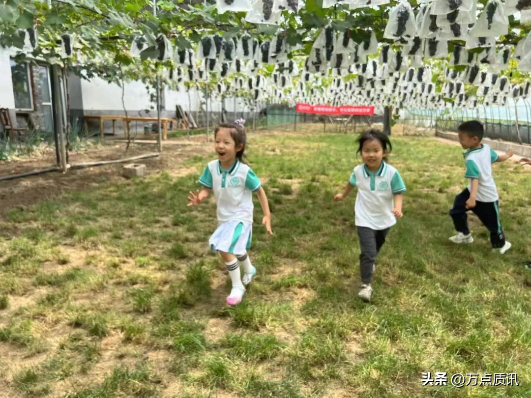 展才艺、练市场、摘葡萄、看电影…幼儿园“六一”主题周精彩回眸