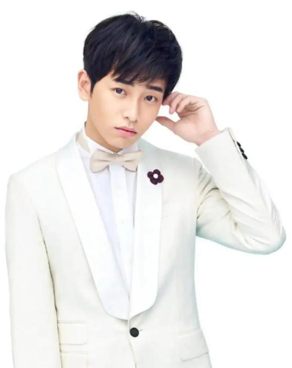 十位穿西装的男明星你最喜欢谁,穿西装很帅的一个男的