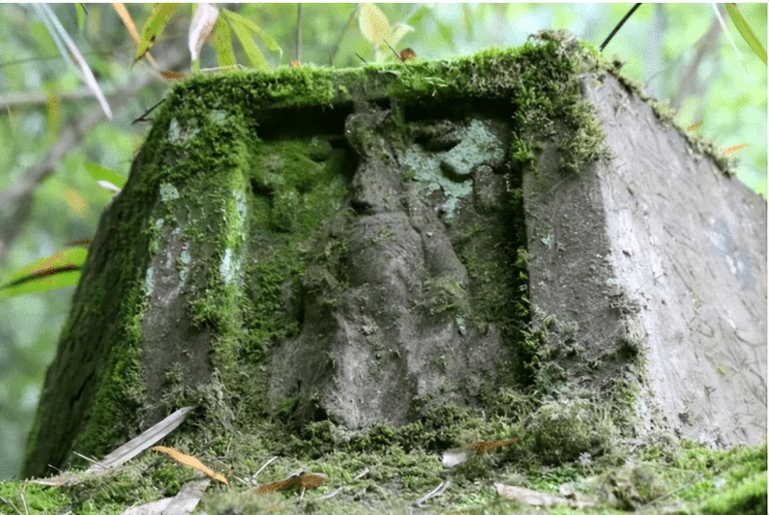 营山县任颖辉,营山任颖辉