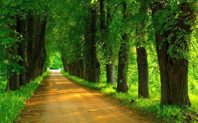 四季篇论述散文《夏》，喜欢的小伙伴点个关注，小编持续更新中