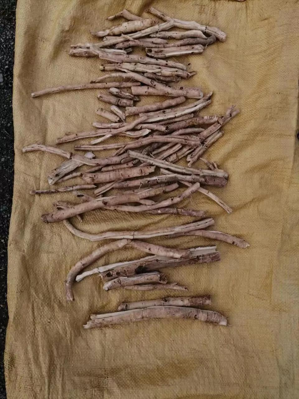 俄罗斯出口中国农产品,俄罗斯中草药进口