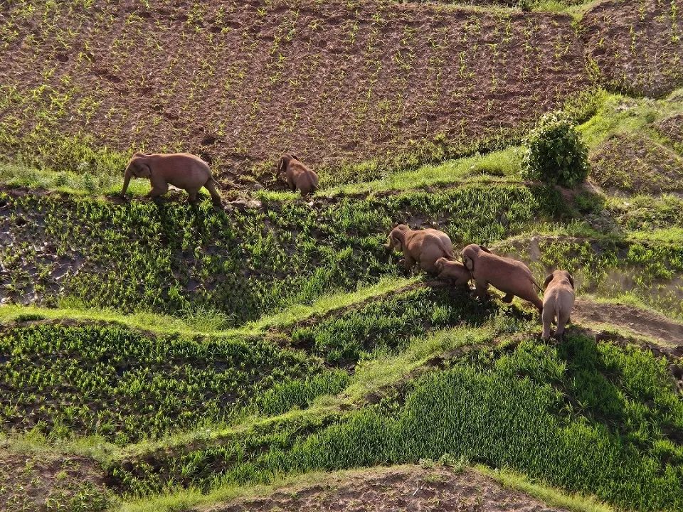 有一种叫云南的生活,有一种生活叫云南的生活