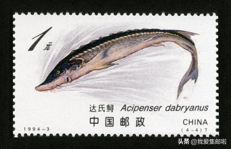 十大濒危动物国际珍惜动物保护日,世界动物日科普视频