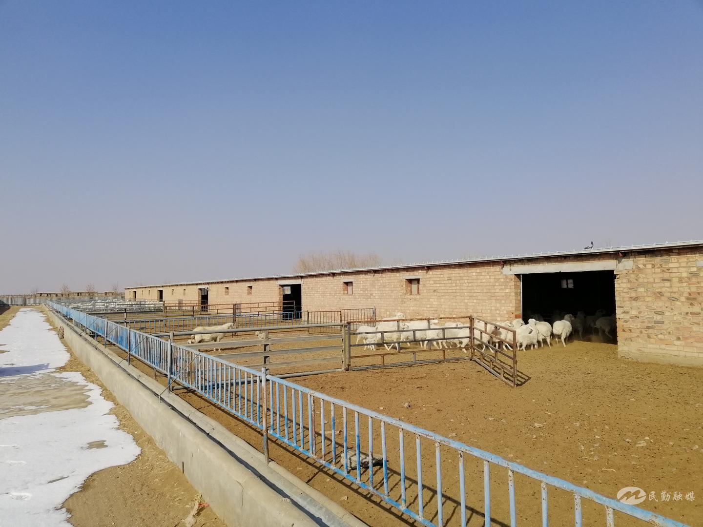 新春走基层乡村振兴,新春走基层扶贫致富