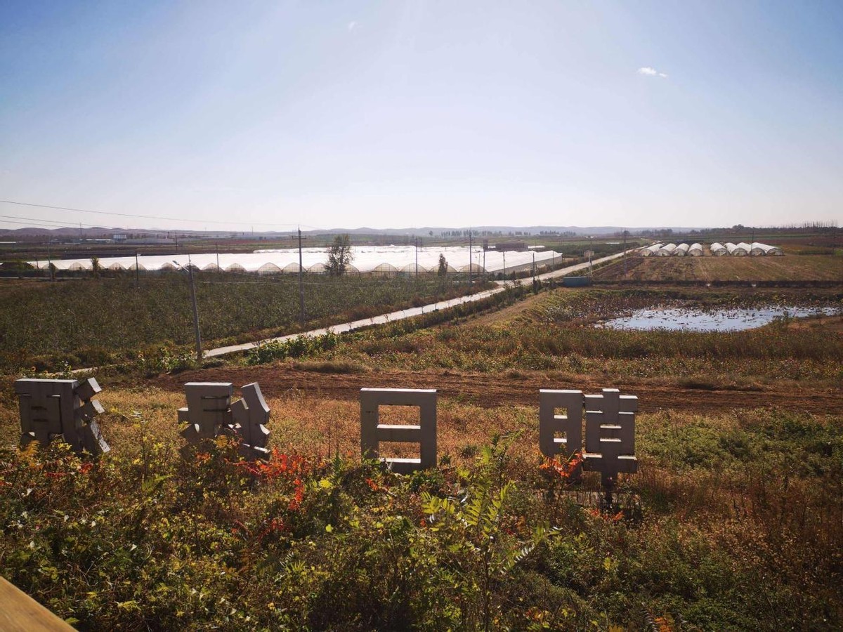 日本人在山东租了1500亩地,日本人在山东租地1500亩现状