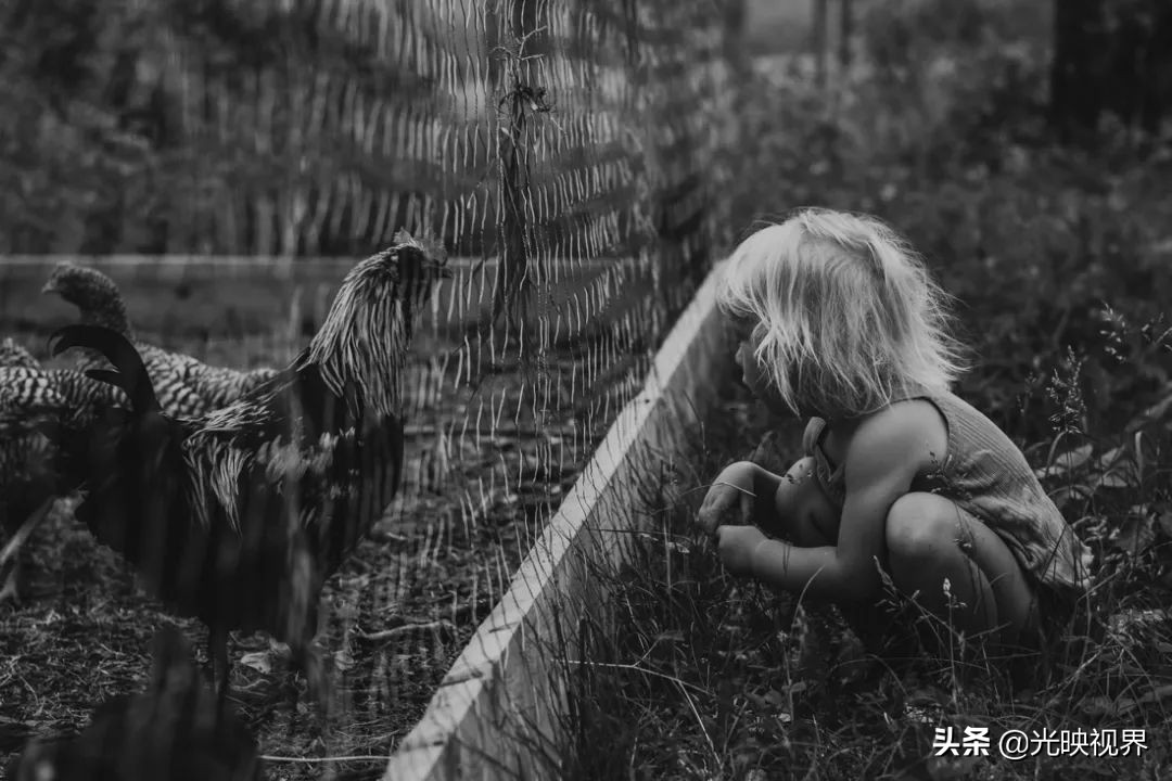 2021摄影大赛获奖作品金奖,2023年摄影获奖作品