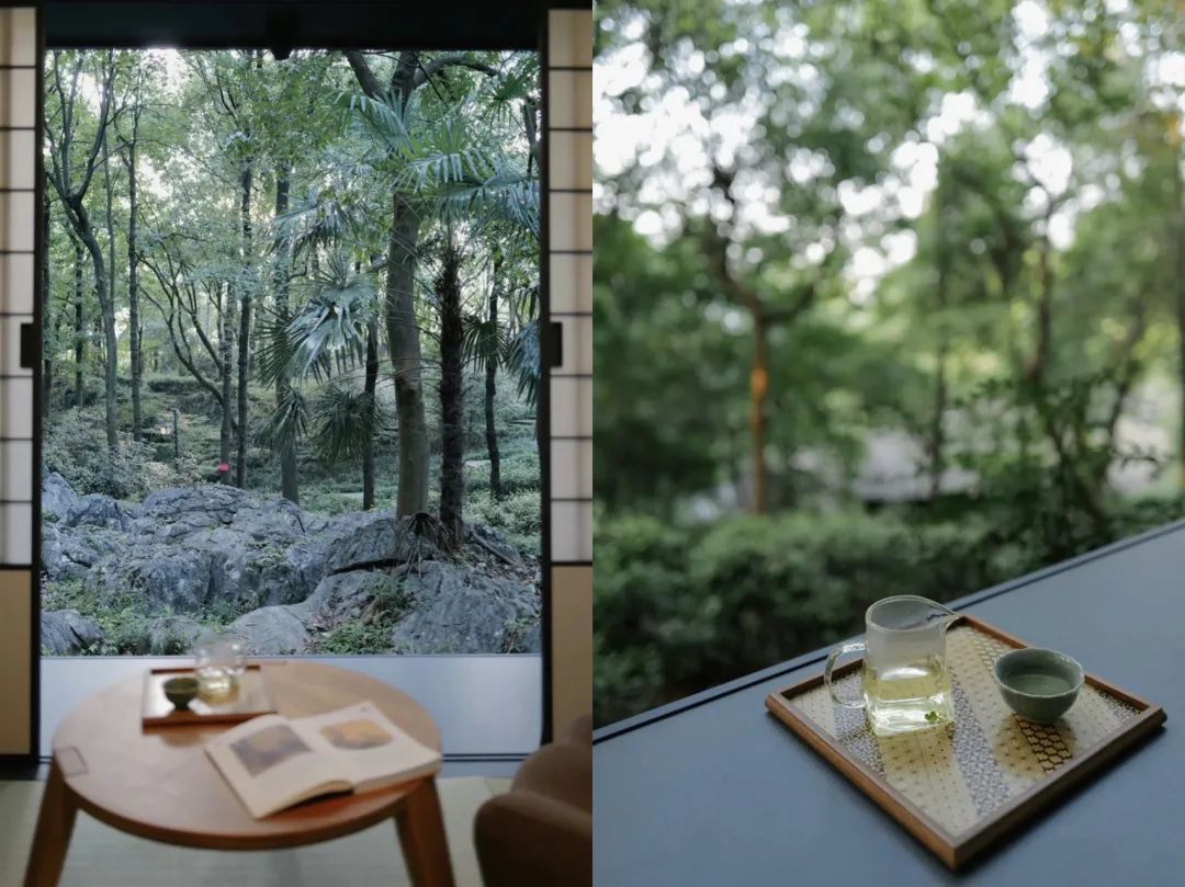 在杭州，会玩的人夏天都来这了