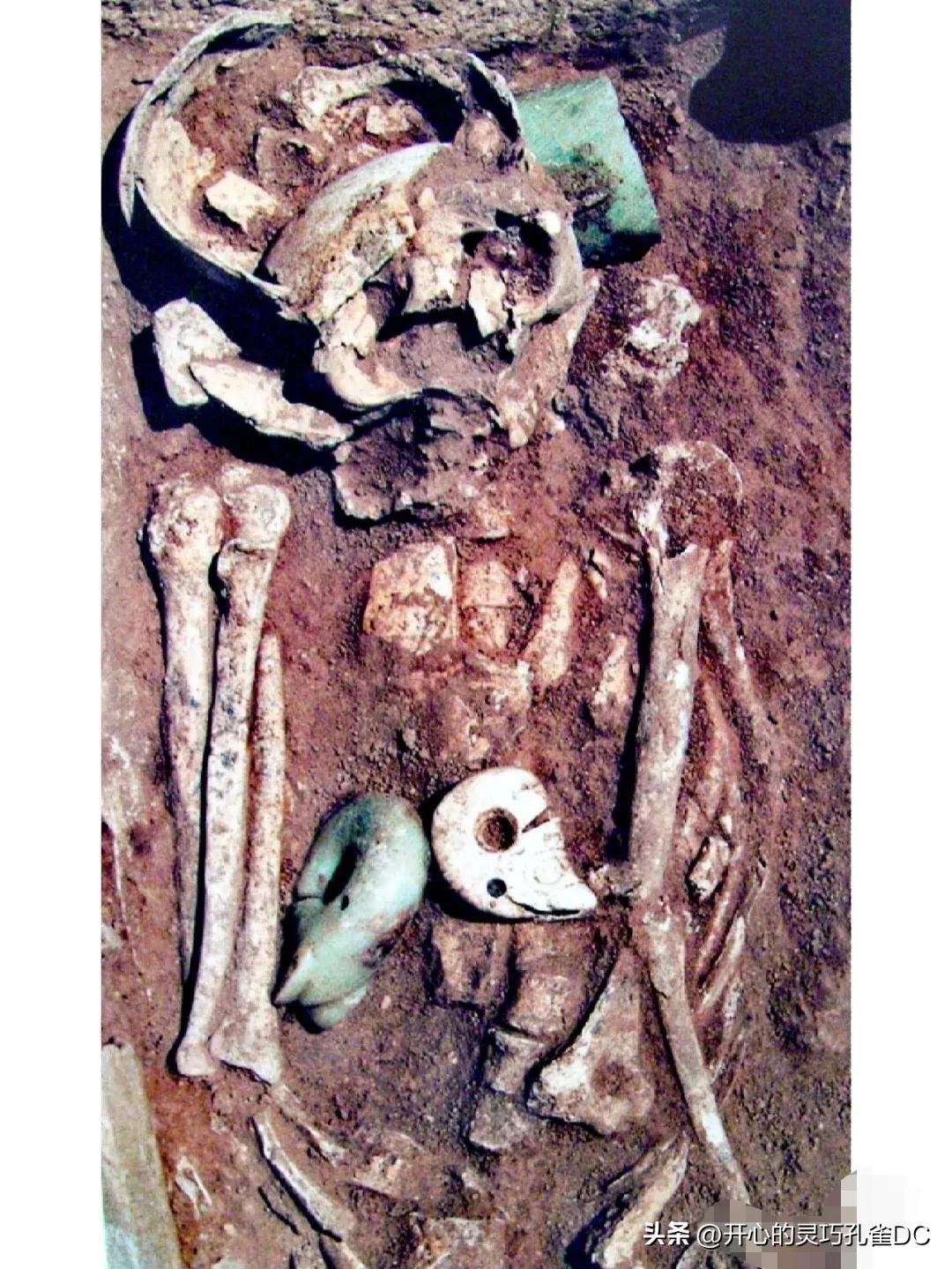 考古工作人员盗走红山玉猪龙,哪个考古人偷了玉猪龙
