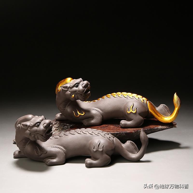 万物知识科普,万物科普解说