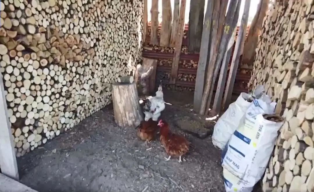 为什么欧洲人买爆中国电热毯,中国电热毯在欧洲爆火