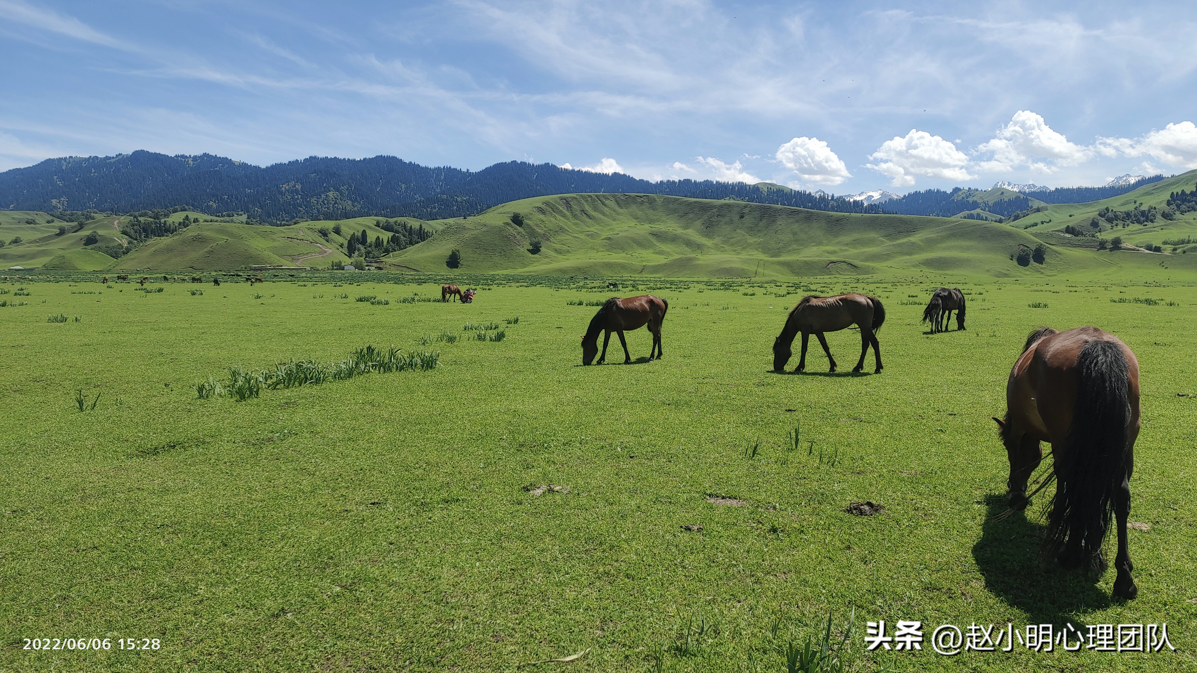 赵小明心理学培训,赵小明有效思维