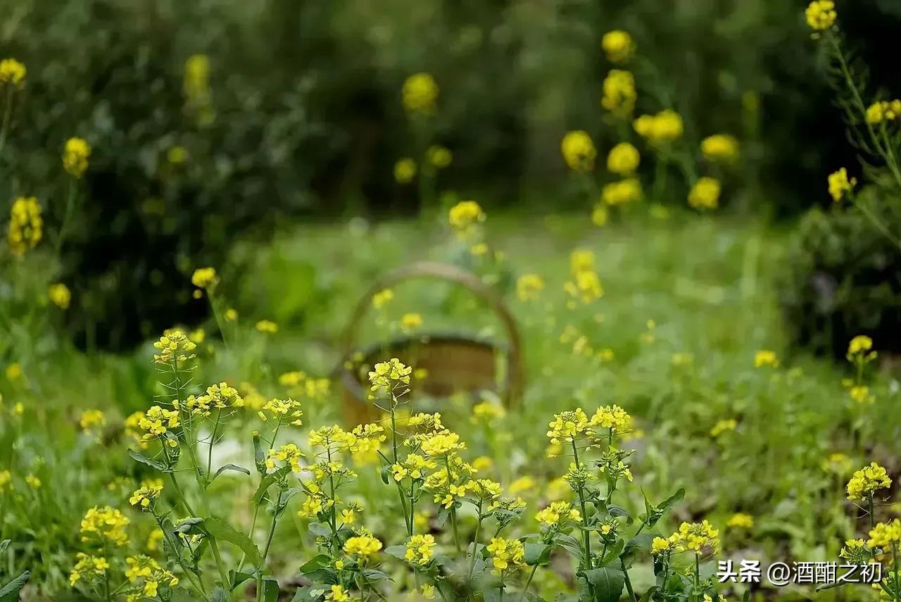 乡土小说：男欢女爱（十八）