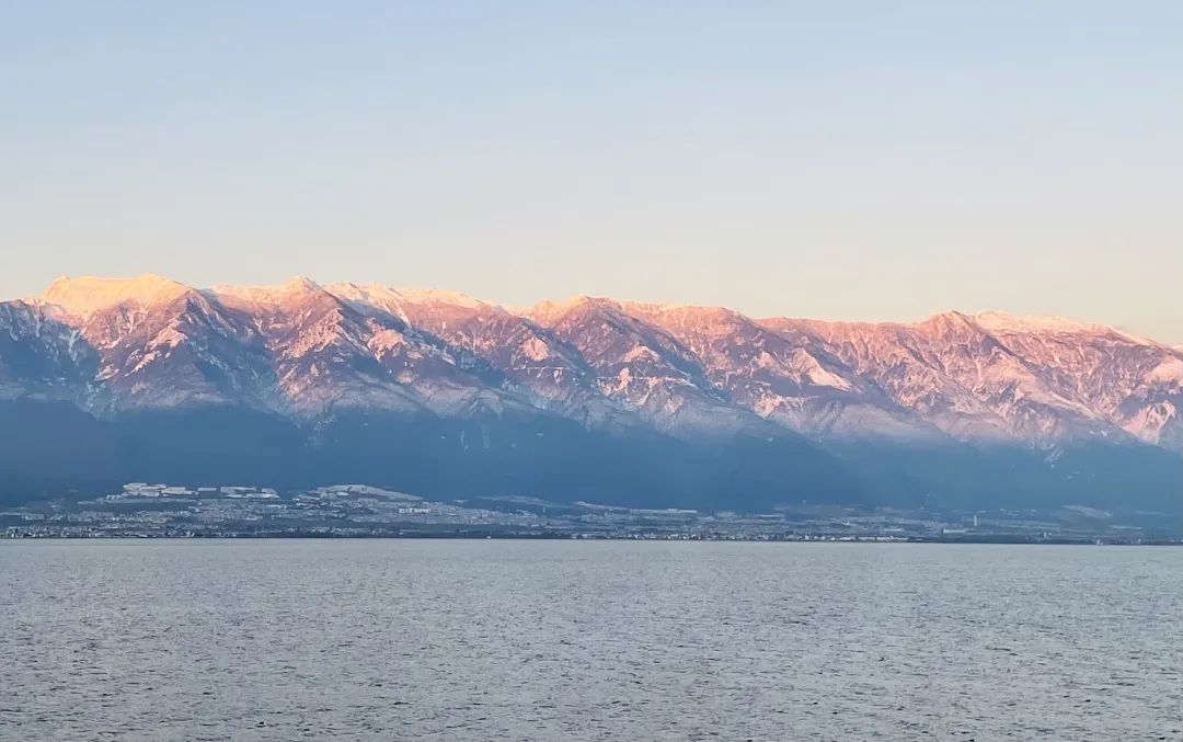 冬季洱海看海鸥最佳地方,这个冬天洱海该有多浪漫