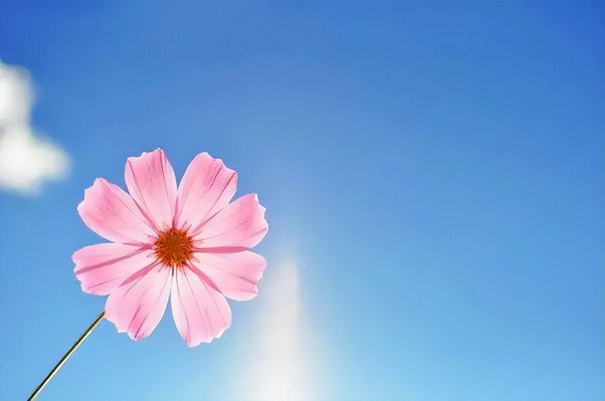 为什么说婚前不谈钱的女人，反而令男人爱不起来？