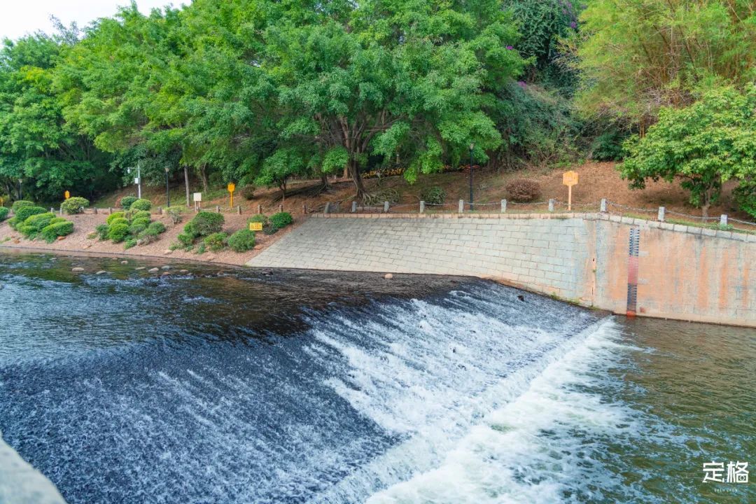 家住深圳必去的公园绿道,深圳环湖绿道好玩么