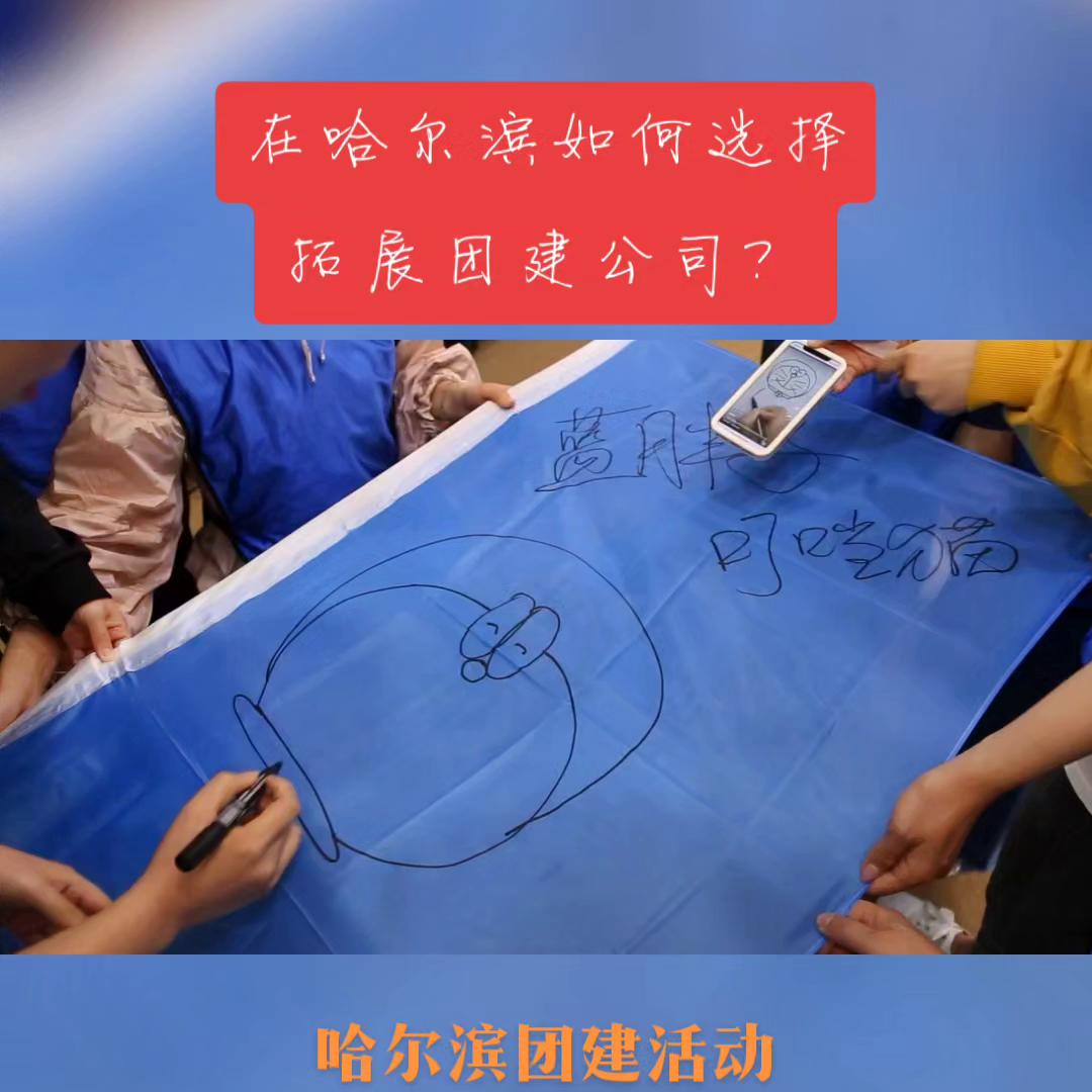 提升团队精神的团建方案,团建活动提升凝聚力的项目