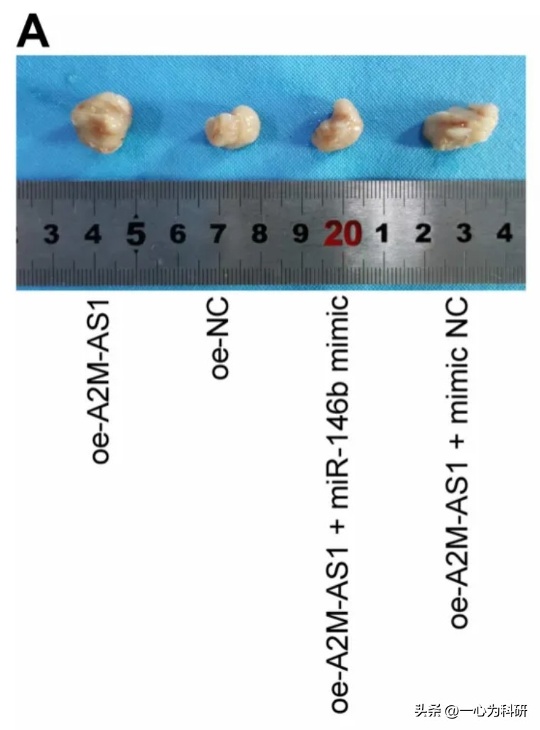 河南省人民医院论文,河南省人民医院发表论文质疑