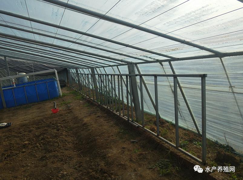 帆布池养殖加盟套路,帆布池养殖风险分析