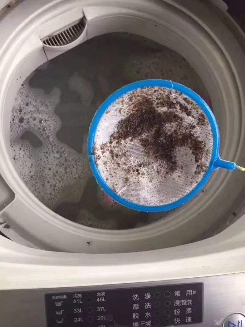 洗衣服忘掏卫生纸了咋清理洗衣机,洗衣服忘掏纸巾如何处理干净