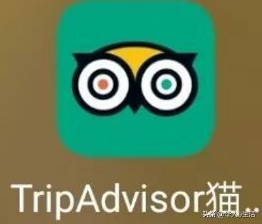 出国旅行常用软件,出国旅行必备app