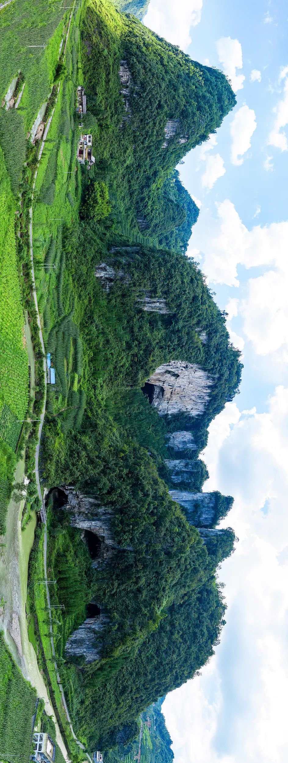 拐枣可以泡水和泡酒,拐枣与肉桂泡酒功效